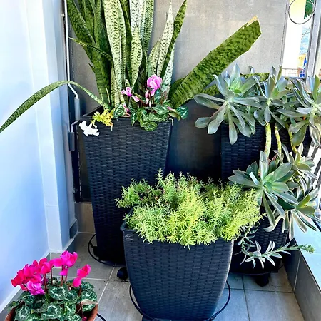 Downtown - Premium 公寓